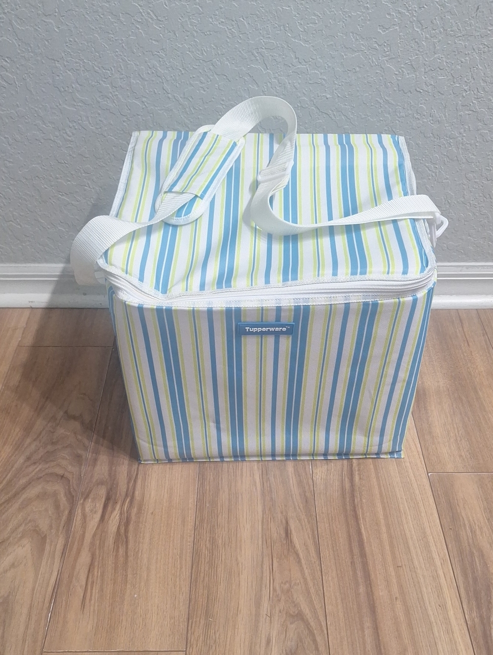 Tupperware Blue, Lime & White Striped Insulated Cooler Bag